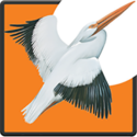 The Pelican Fund